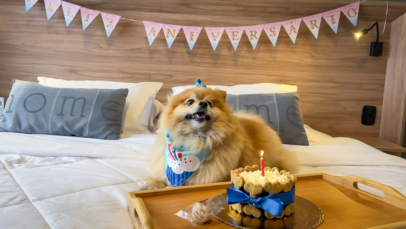Aniversário pet na Solar Viena